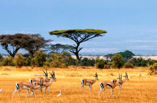 Omo National Park Scenic Ethiopia Tours