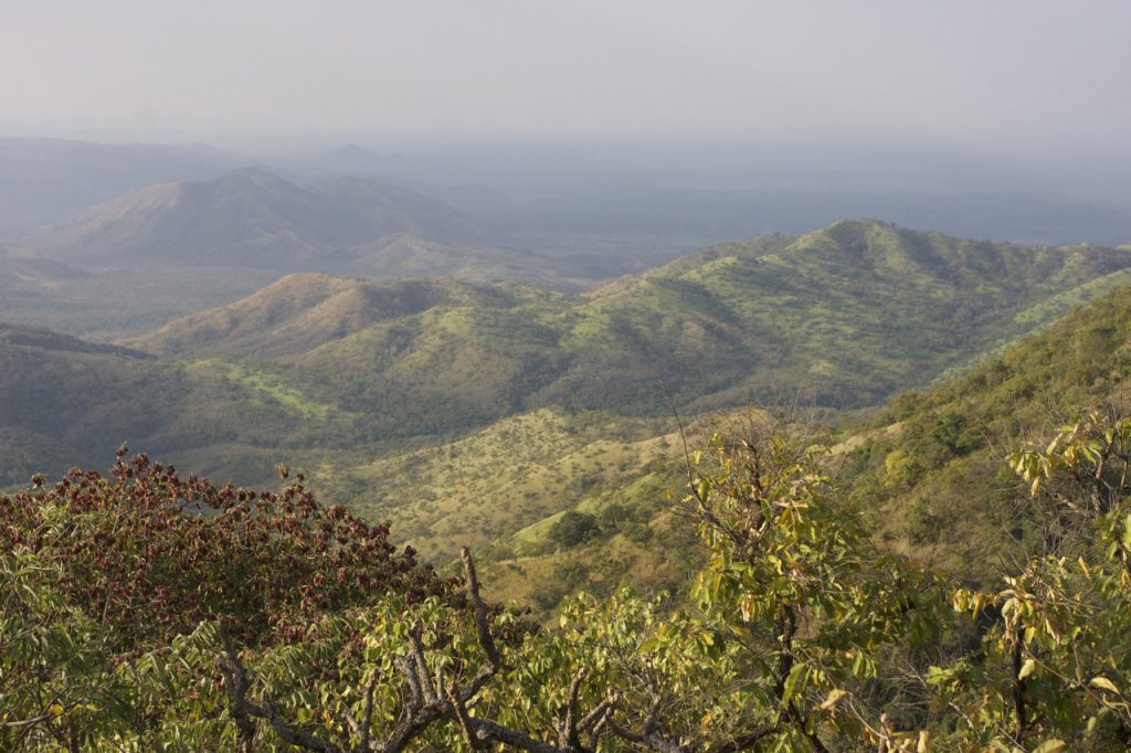 Mago National Park