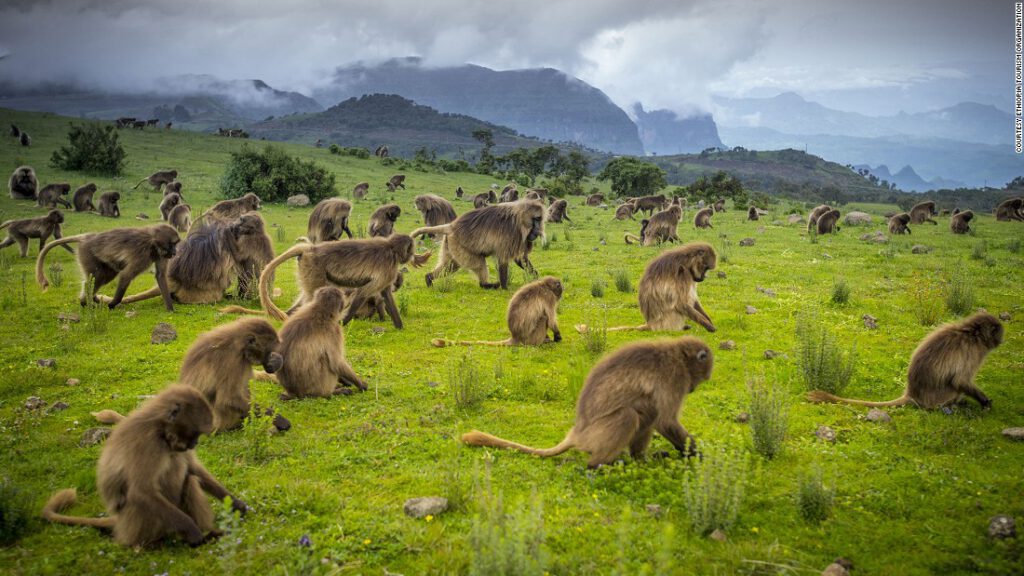 Simien Mountains National Park